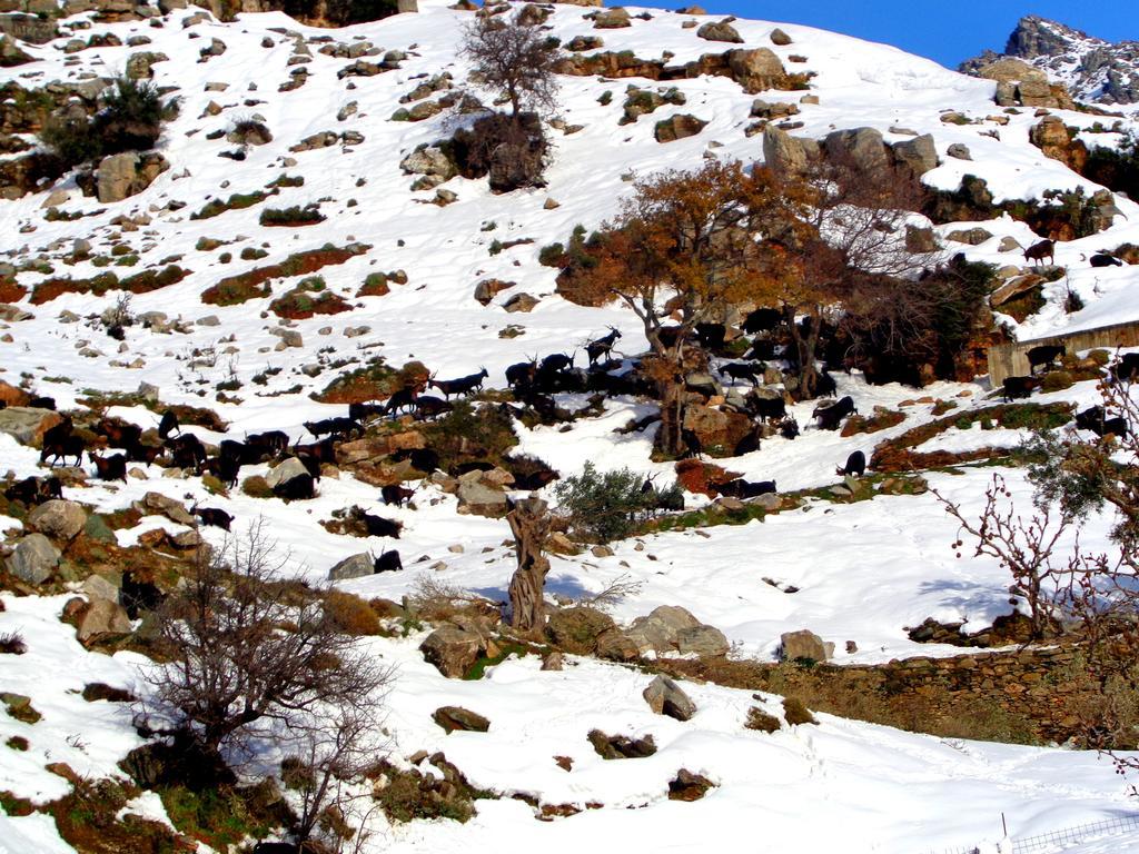 Makronas Apartments Karystos  Dış mekan fotoğraf