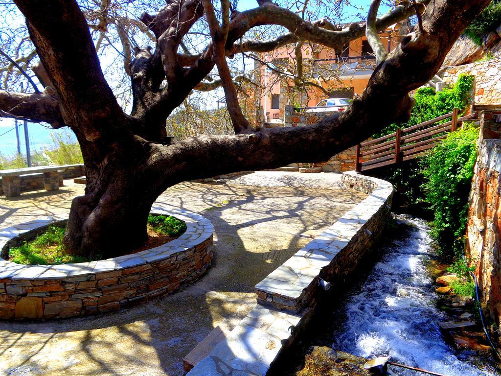 Makronas Apartments Karystos  Dış mekan fotoğraf