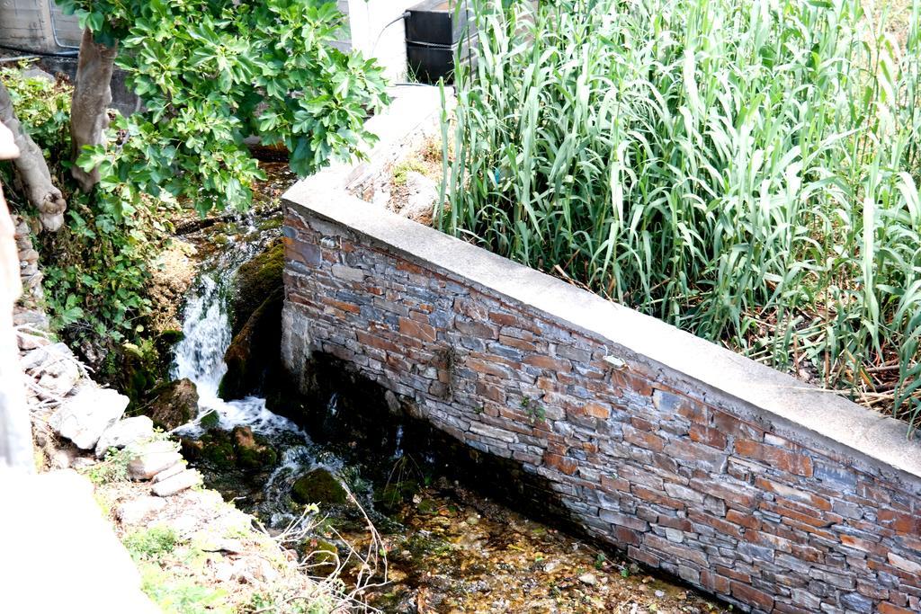 Makronas Apartments Karystos  Dış mekan fotoğraf