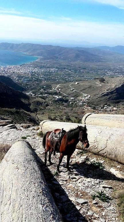 Makronas Apartments Karystos  Dış mekan fotoğraf