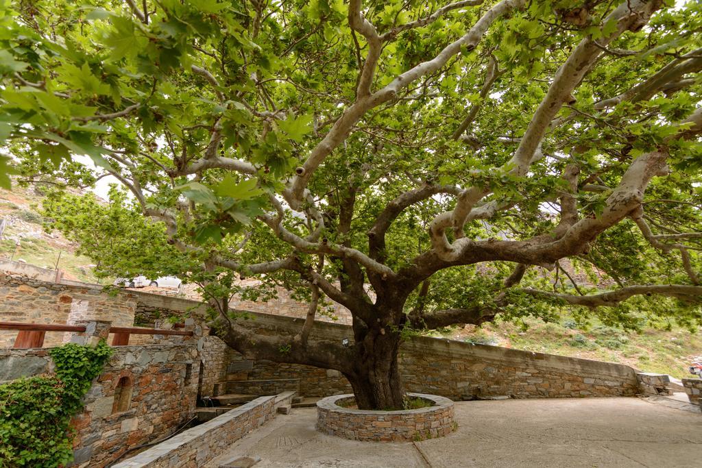 Makronas Apartments Karystos  Dış mekan fotoğraf