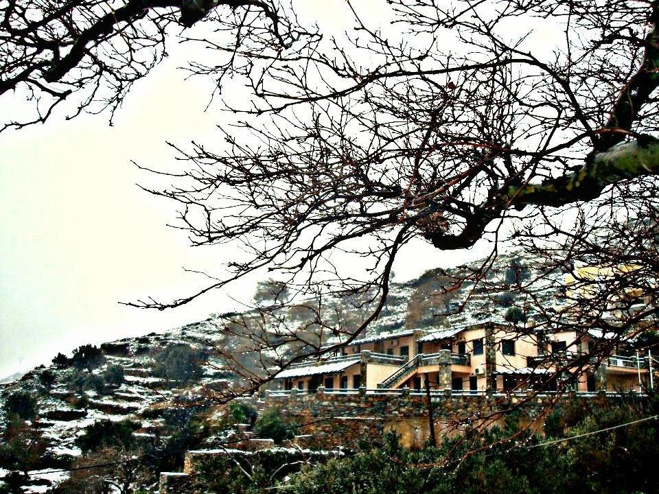 Makronas Apartments Karystos  Dış mekan fotoğraf