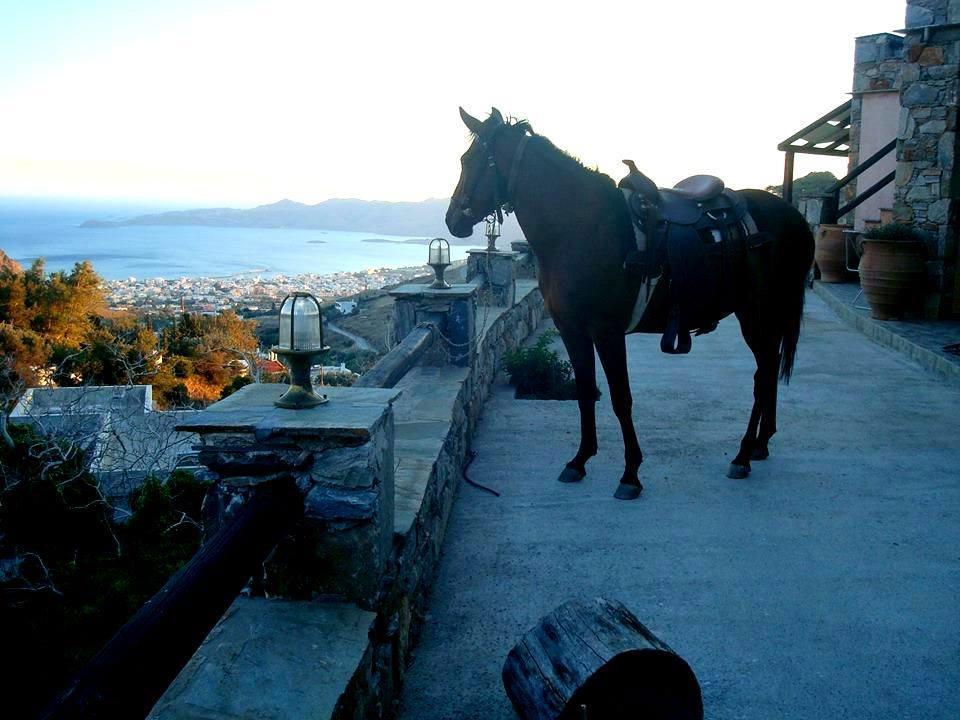 Makronas Apartments Karystos  Dış mekan fotoğraf